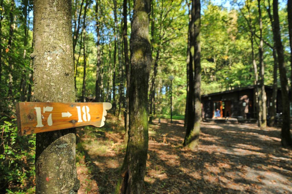Village De Vacances D'Oignies Kültér fotó