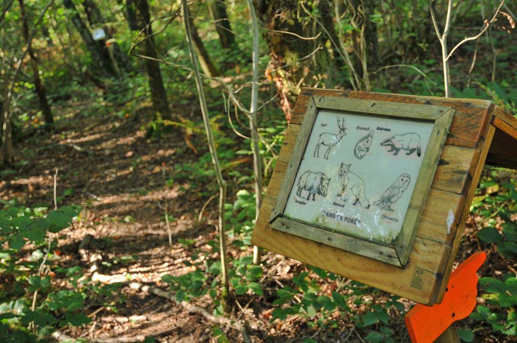 Village De Vacances D'Oignies Kültér fotó